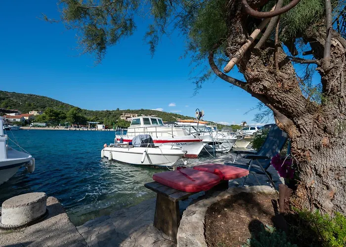 Family Friendly Seaside Zaglav, Dugi Otok - 9726 Appartement