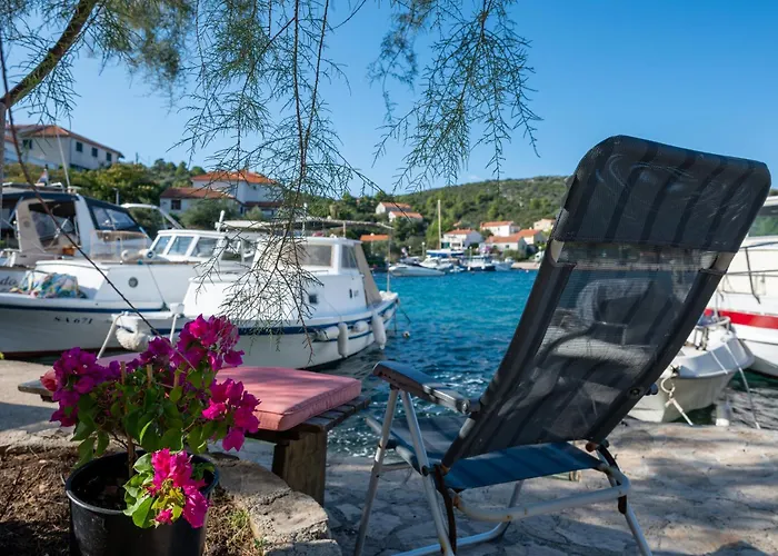 Family Friendly Seaside Zaglav, Dugi Otok - 9726 Apartment