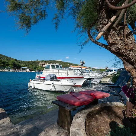 Family Friendly Seaside Zaglav, Dugi Otok - 9726 Apartmán